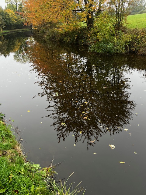 Autumn colours at Chirk
