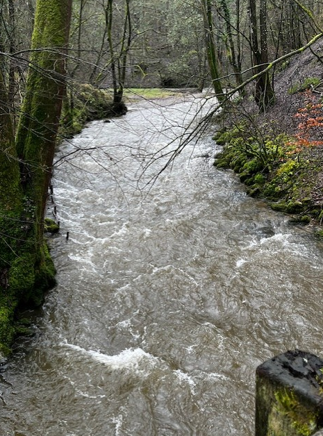 Torrent River Alyn