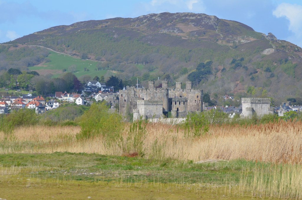 Conwy Castle