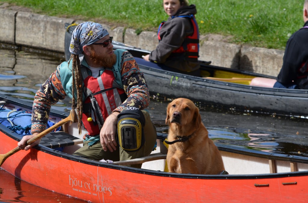 Dog being chauffered
