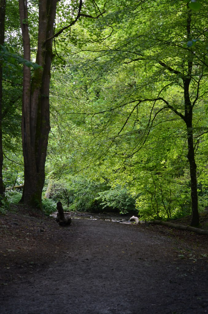 Leete path