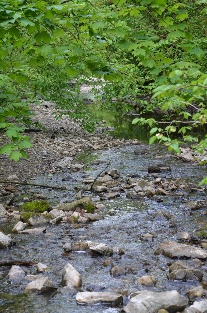 River Alyn low water
