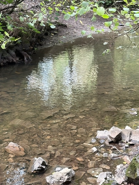 Clear water Alyn